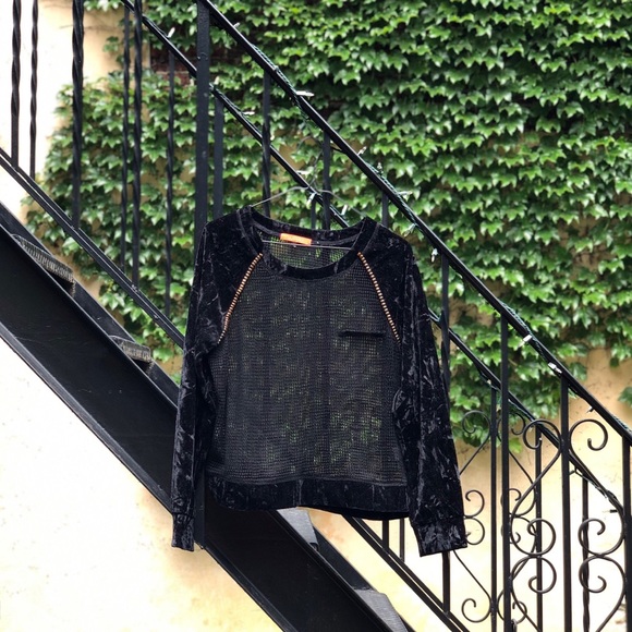 Lulumari Sheer Velvet Top - Picture 6 of 9